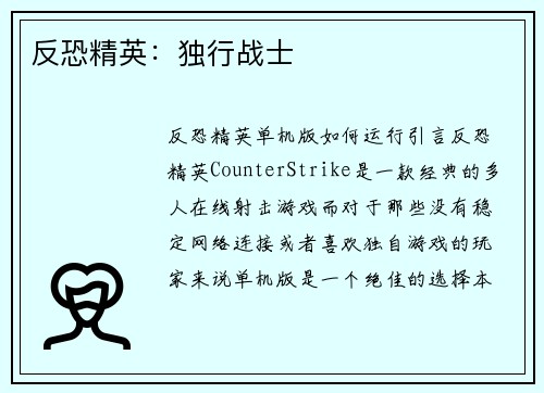 反恐精英：独行战士